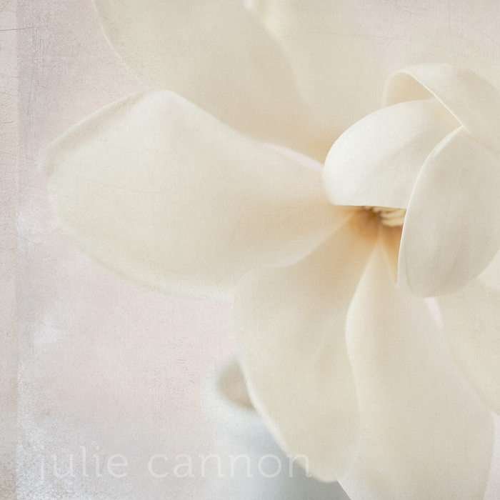 Magnolia with Eastman Texture